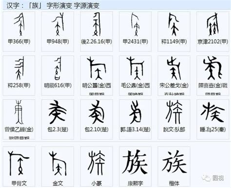 翔字|翔字形演变字源